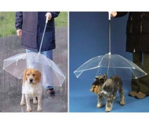 The Dogbrella