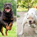 s that are not suitable for your home