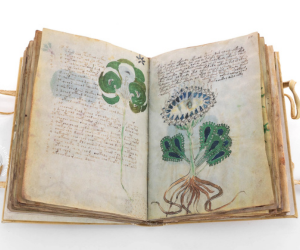 Voynich Manuscript