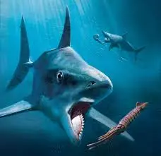 Helicoprion – The Buzz-Saw Shark