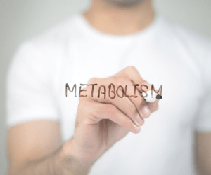 Increases Fat Burning and Metabolism