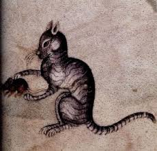 Killing Black Cats Helped Spread the Black Death